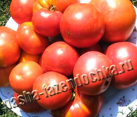Томат (помидор), томатный сок