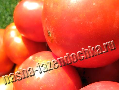 Томаты (помидоры) - польза и вред